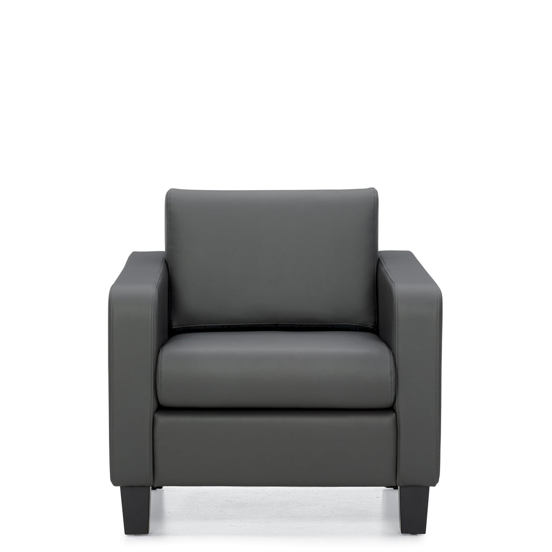 Lounge Chair - JD13051-Lounge Seating