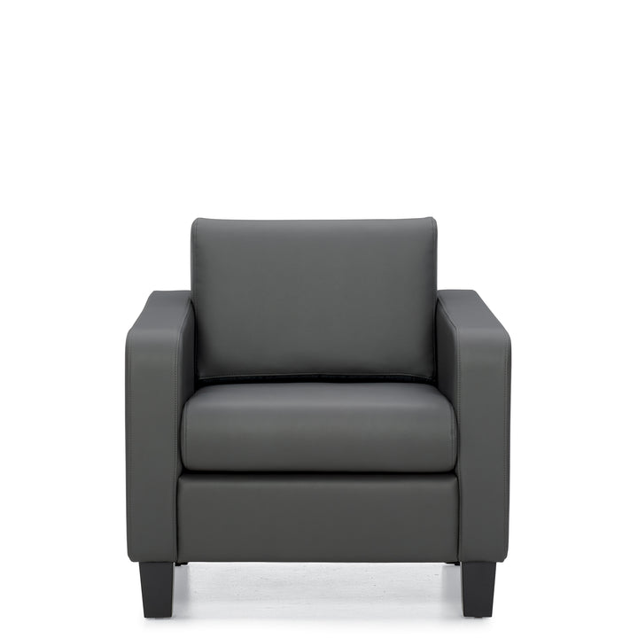 Lounge Chair - JD13051-Lounge Seating