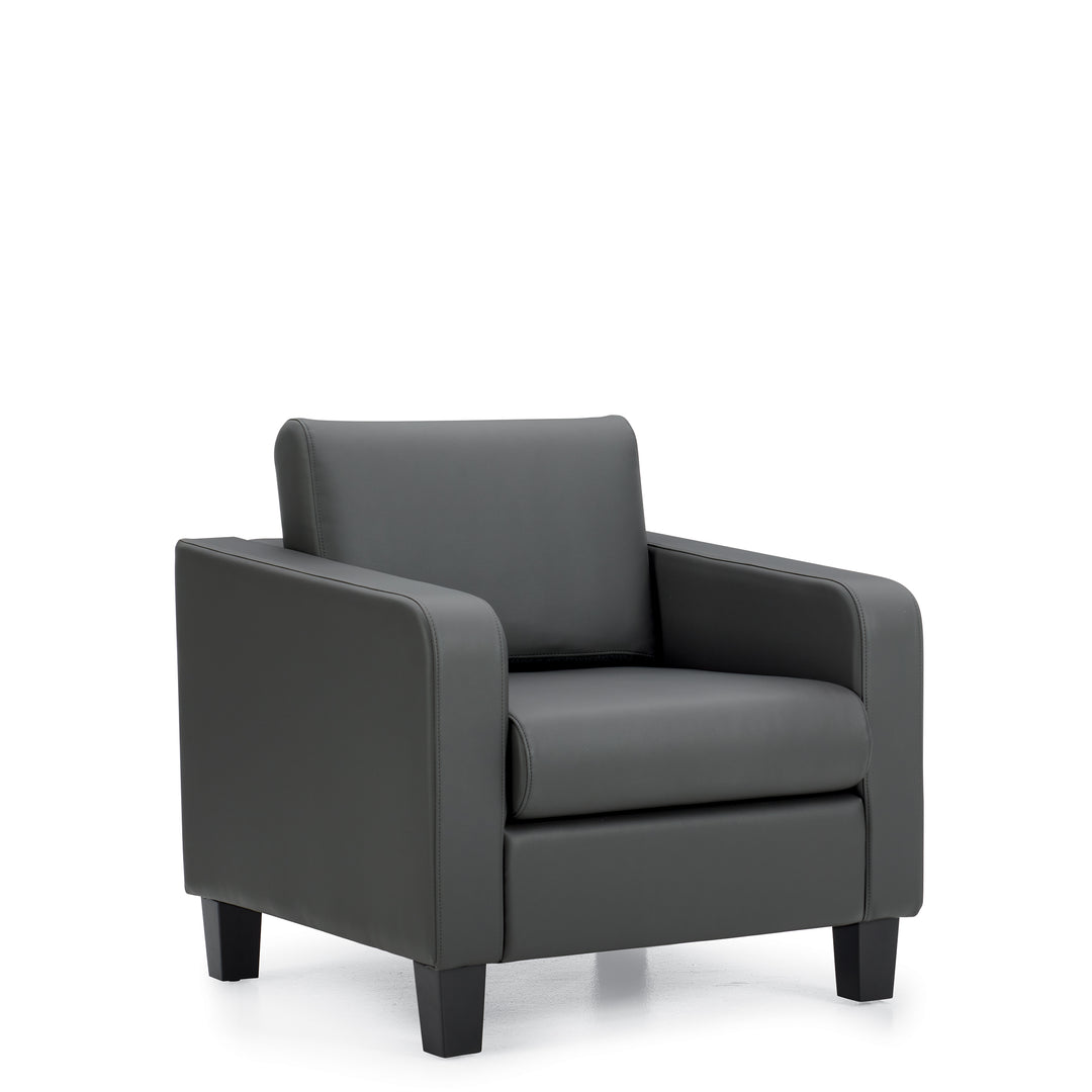 Lounge Chair - JD13051-Lounge Seating