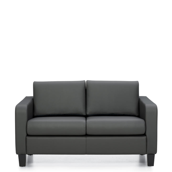 Two Seat Sofa - JD13052-Lounge Seating